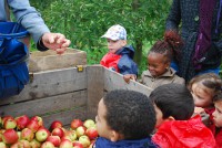 /album/jufelfi/dsc-0030-jpg/