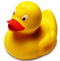 /album/jufelfi/eendje-jpg/